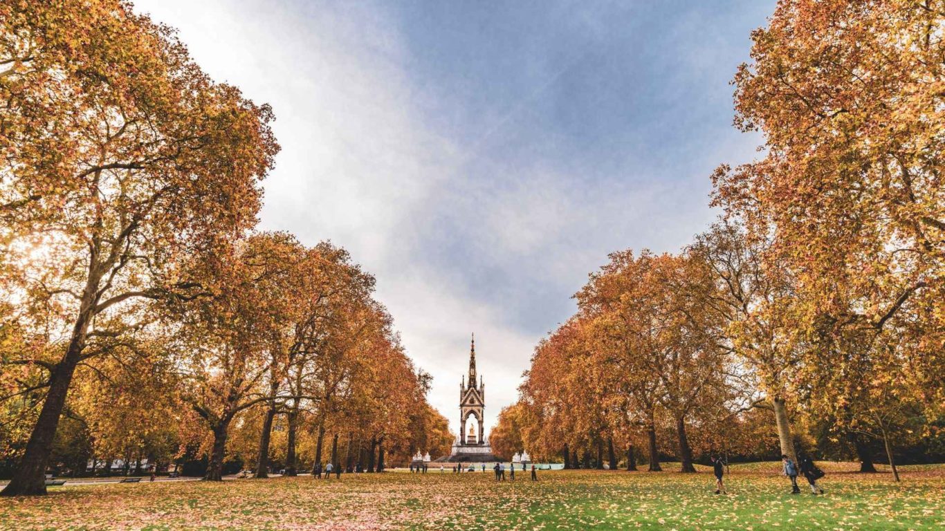 pexels-samuel-sweet-8461958