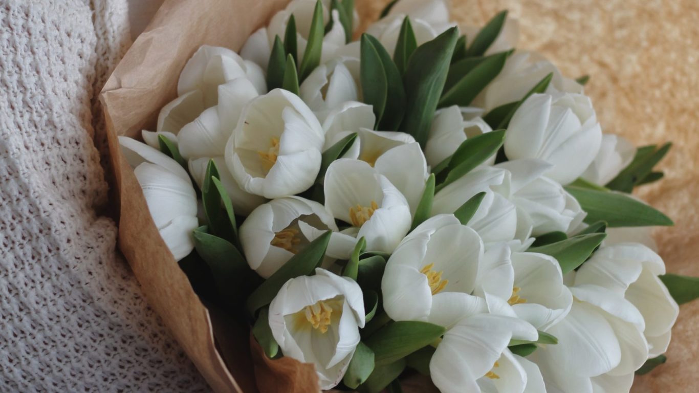 pexels-ioana-motoc-7521436