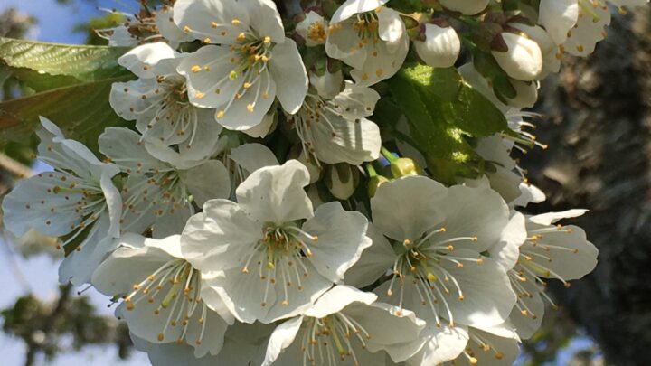 Spring offer in london