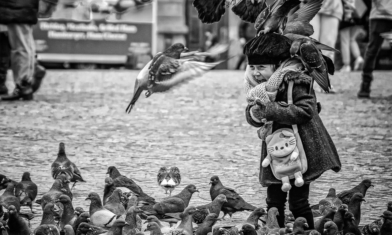 amsterdam-6823002_1280